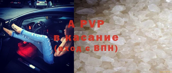 спайс Арсеньев