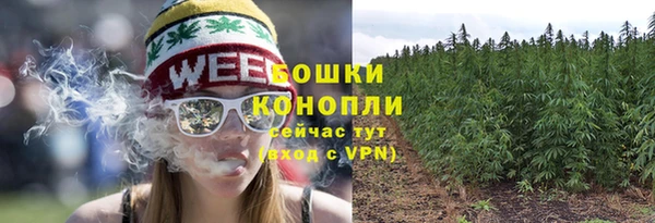 ECSTASY Заволжье