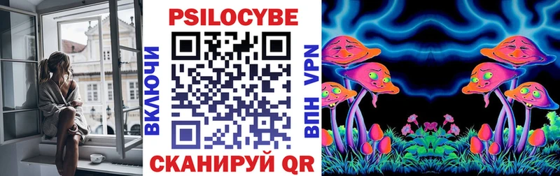 Псилоцибиновые грибы прущие грибы Кирс